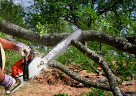 Soil Testing and Treatment in Passapatanzy, VA