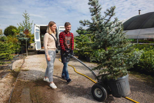 Best Leaf Removal  in Passapatanzy, VA