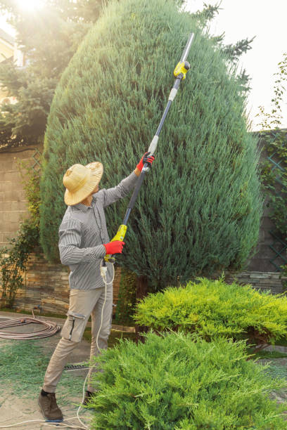 Best Commercial Tree Services  in Passapatanzy, VA